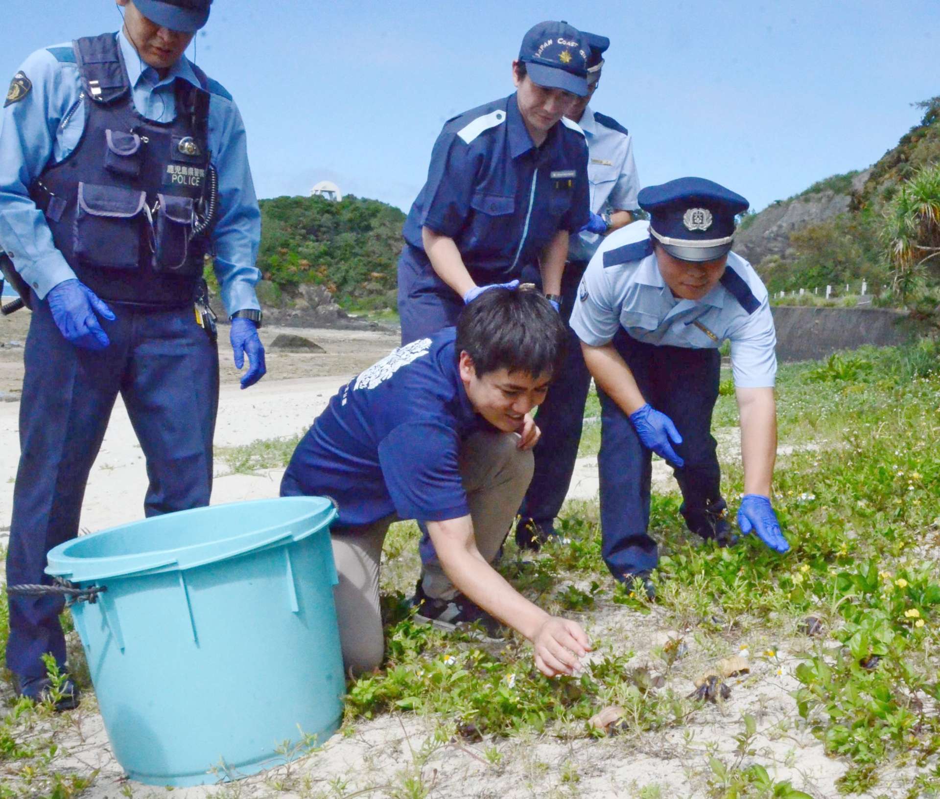 オカヤドカリを海岸に放す奄美市の署員ら＝１２日、奄美市