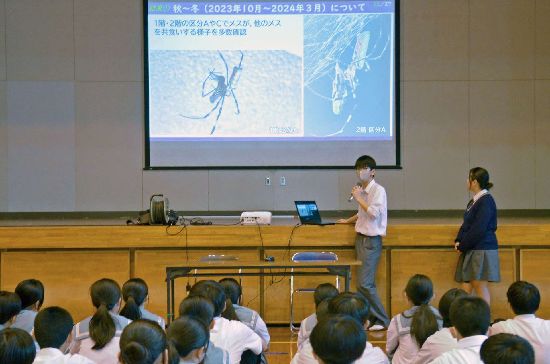 ジョロウグモの研究について中学生に伝える錦江湾高校生＝１０日、鹿児島市の福平中学校