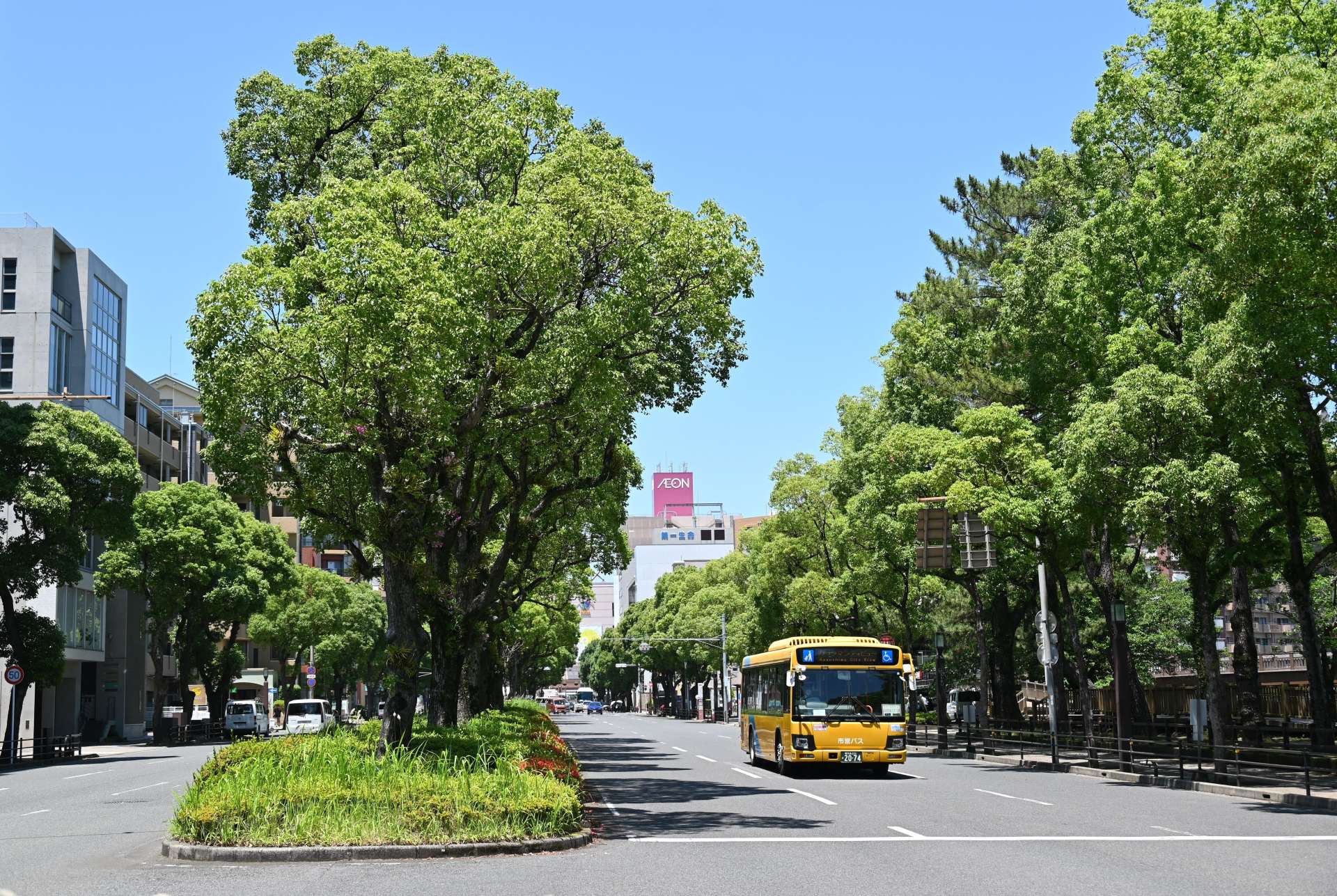 街路樹再生プランで骨格路線として整備するナポリ通り＝鹿児島市上之園町