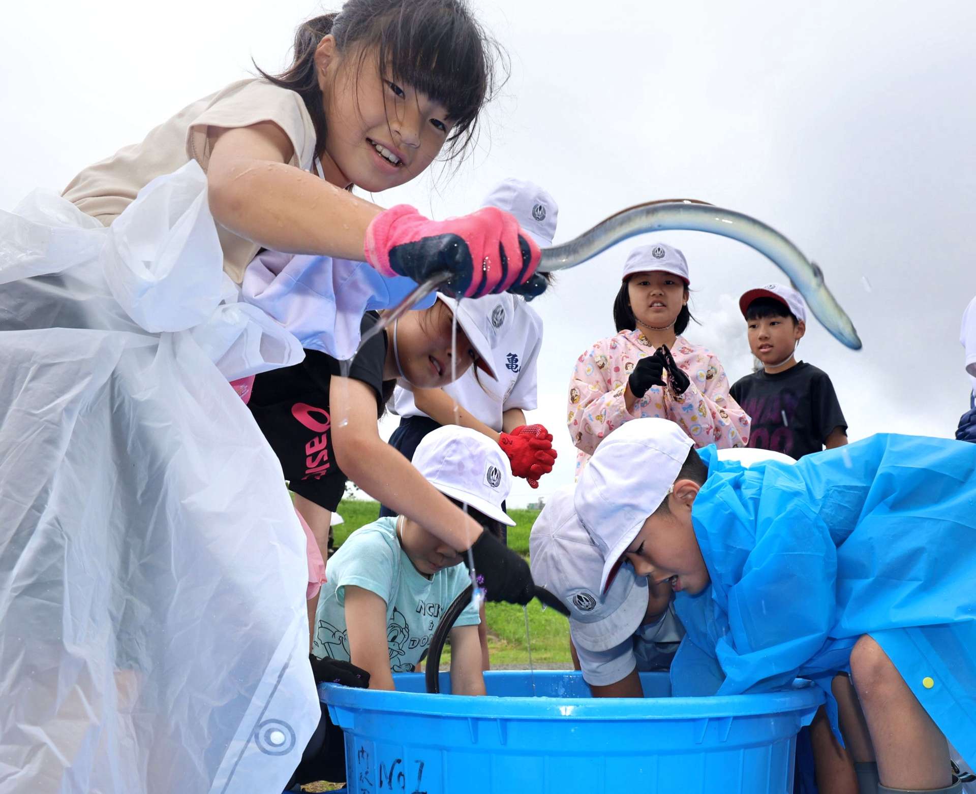 ウナギを放流する亀山小学校の児童ら＝１０日、薩摩川内市の川内川