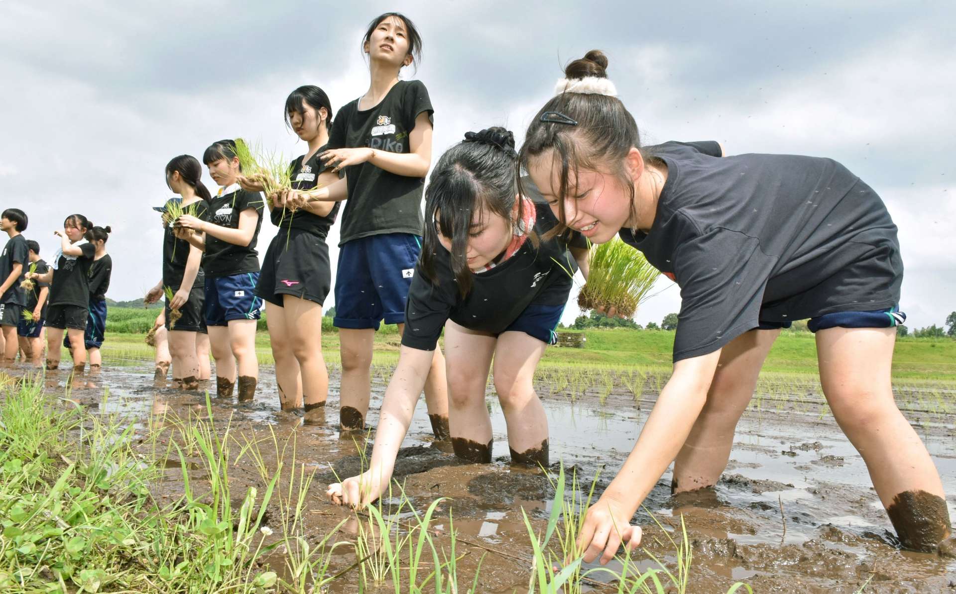 横一列になって田植えを楽しむ生徒＝伊佐市の伊佐農林高校