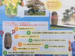 昨年７月の指宿市の広報誌にも登場した「謎のモアイ像」