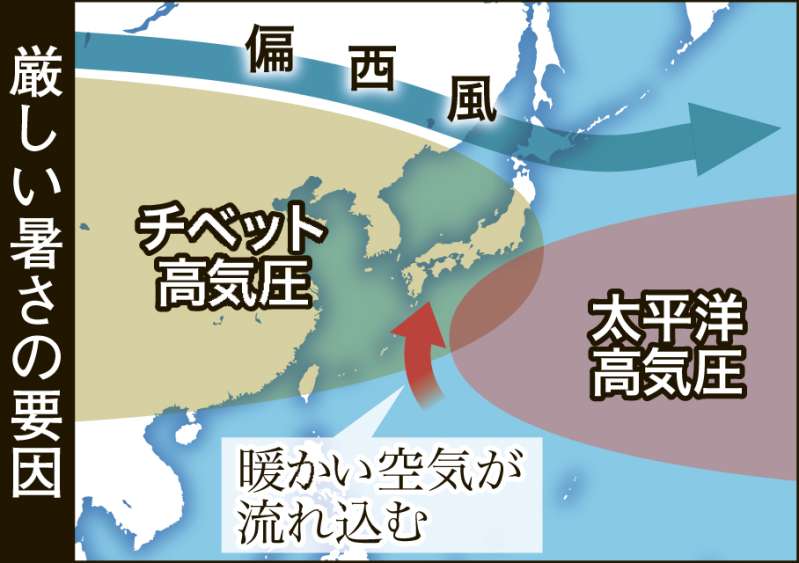 〈暑さの要因が一目で分かるグラフィックを見る〉