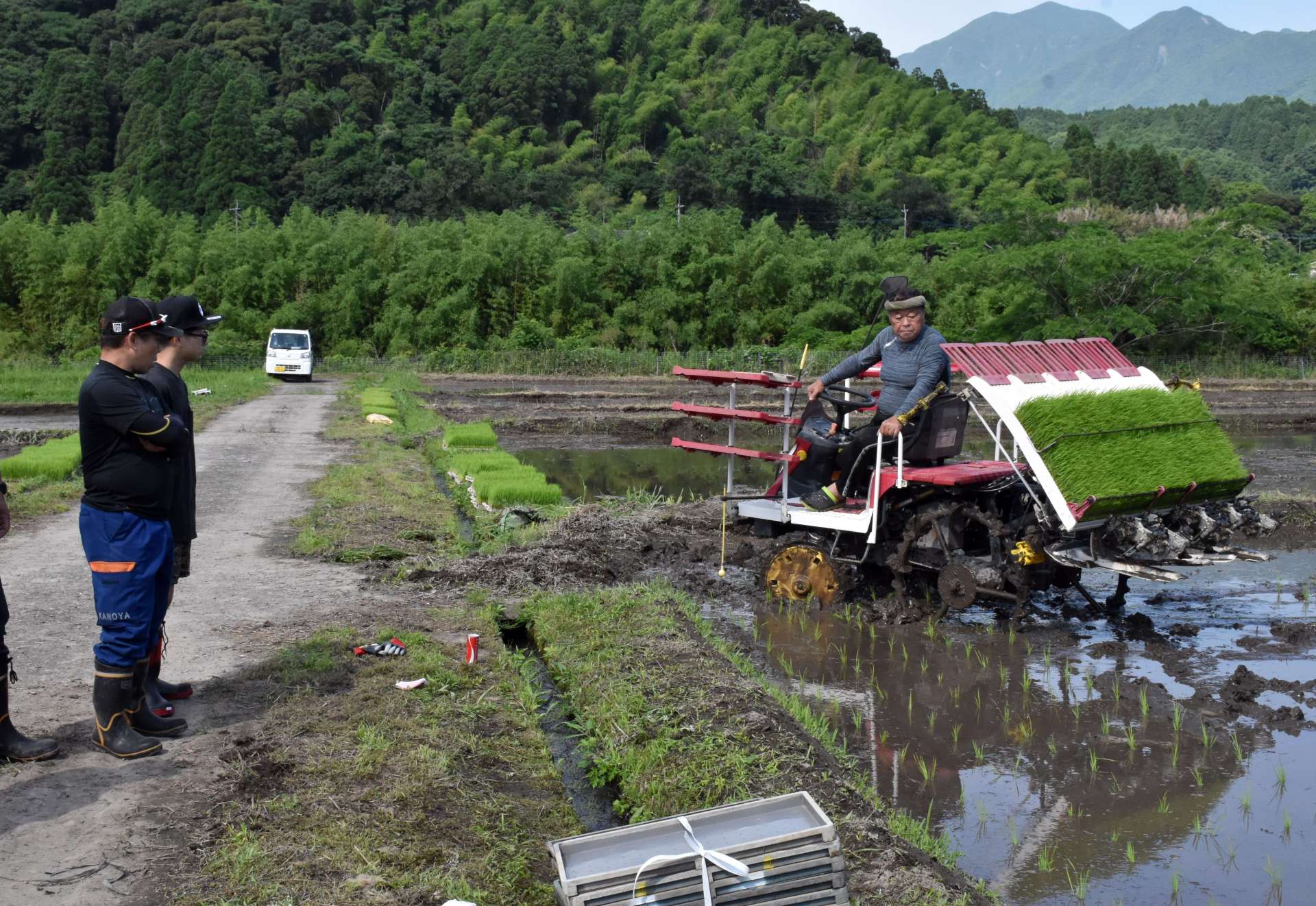 田植えをする伊野幸二さん（右）ら＝鹿屋市下高隈町