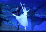 「ラ・シルフィード」を上演する県バレエ協会の踊り手＝志布志市の蓬原小