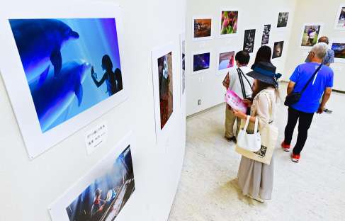 個性的な作品を熱心に鑑賞する来場者＝２４日、鹿児島市の市立美術館