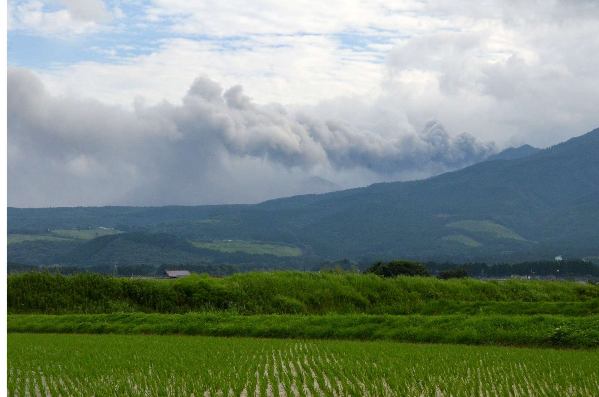 噴煙を上げる新燃岳＝２６日午後５時すぎ、小林市細野