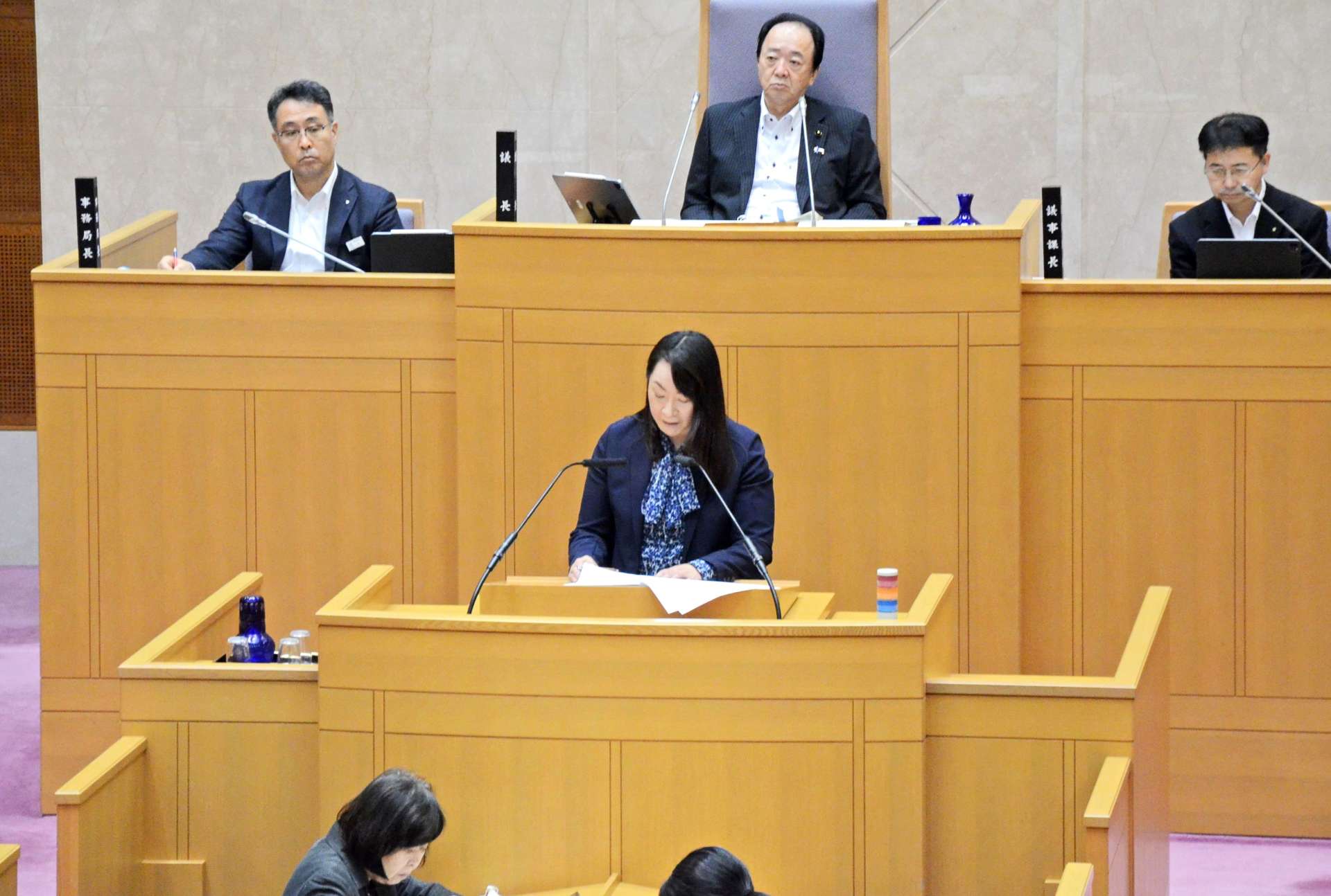 新総合体育館設計費を含む一般会計補正予算議案などへの反対討論をする岩重仁子議員＝２６日、県議会