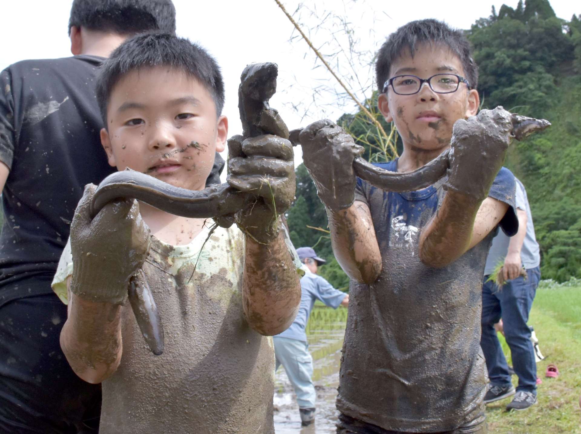 ウナギのつかみ取りに挑戦する子どもたち＝霧島市福山町佳例川