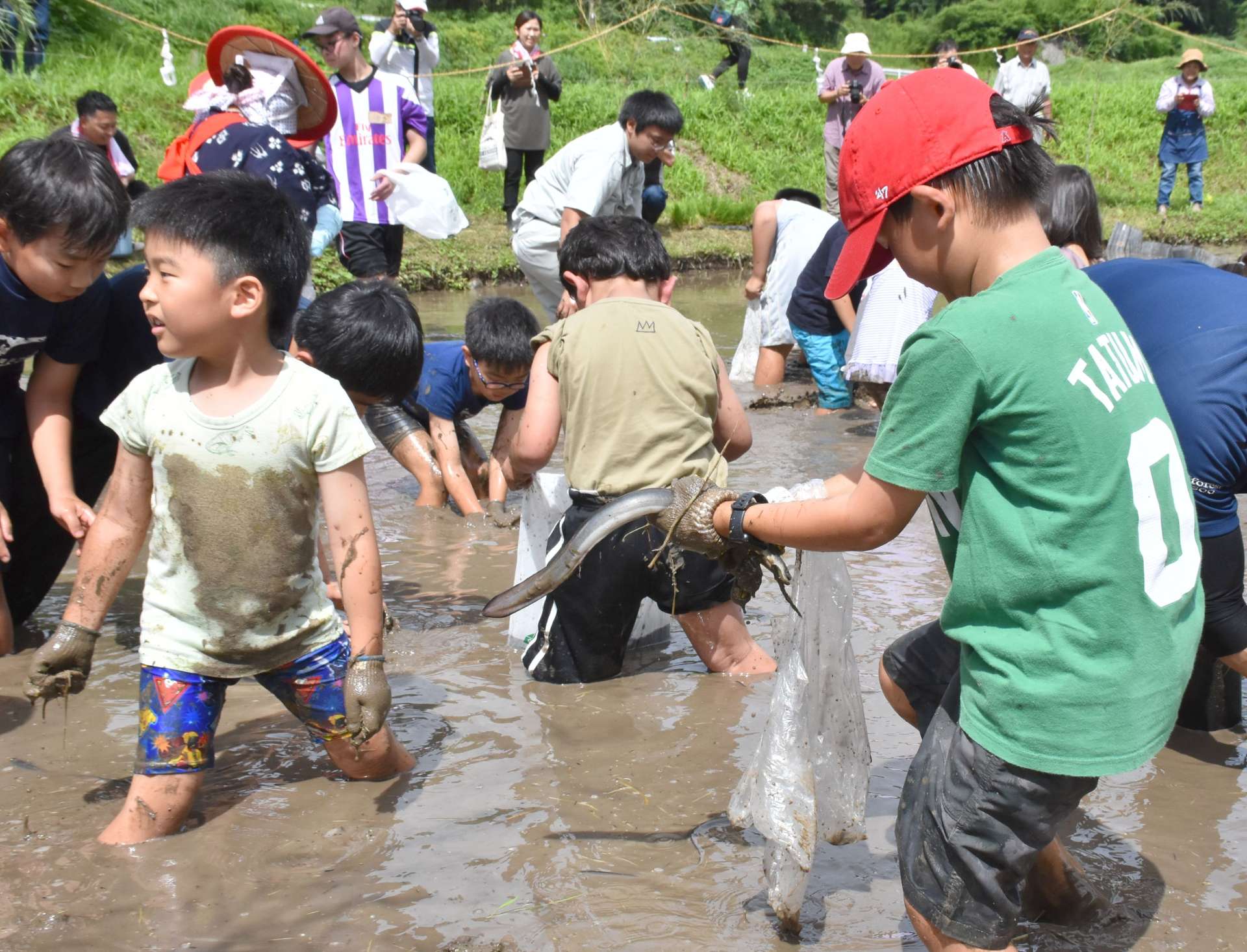 ウナギのつかみ取りに挑戦する子どもたち＝霧島市福山町佳例川