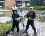 稲の苗を植え付ける鹿屋市シルバー人材センターの会員ら＝同市西祓川町