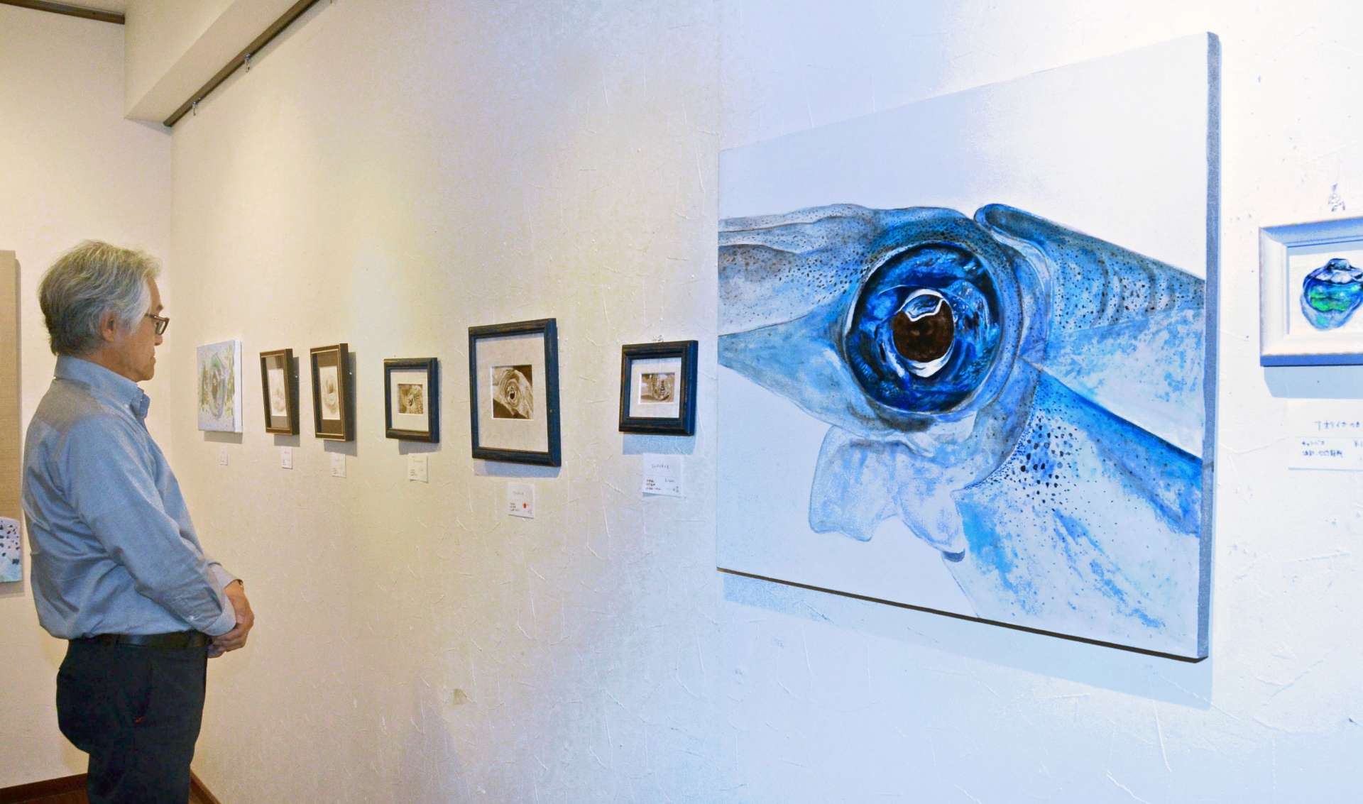神秘的なイカの絵画が並ぶ作品展＝２７日、鹿児島市泉町のギャラリー白樺