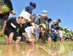 手植えをする親子連れ＝伊佐市大口山野