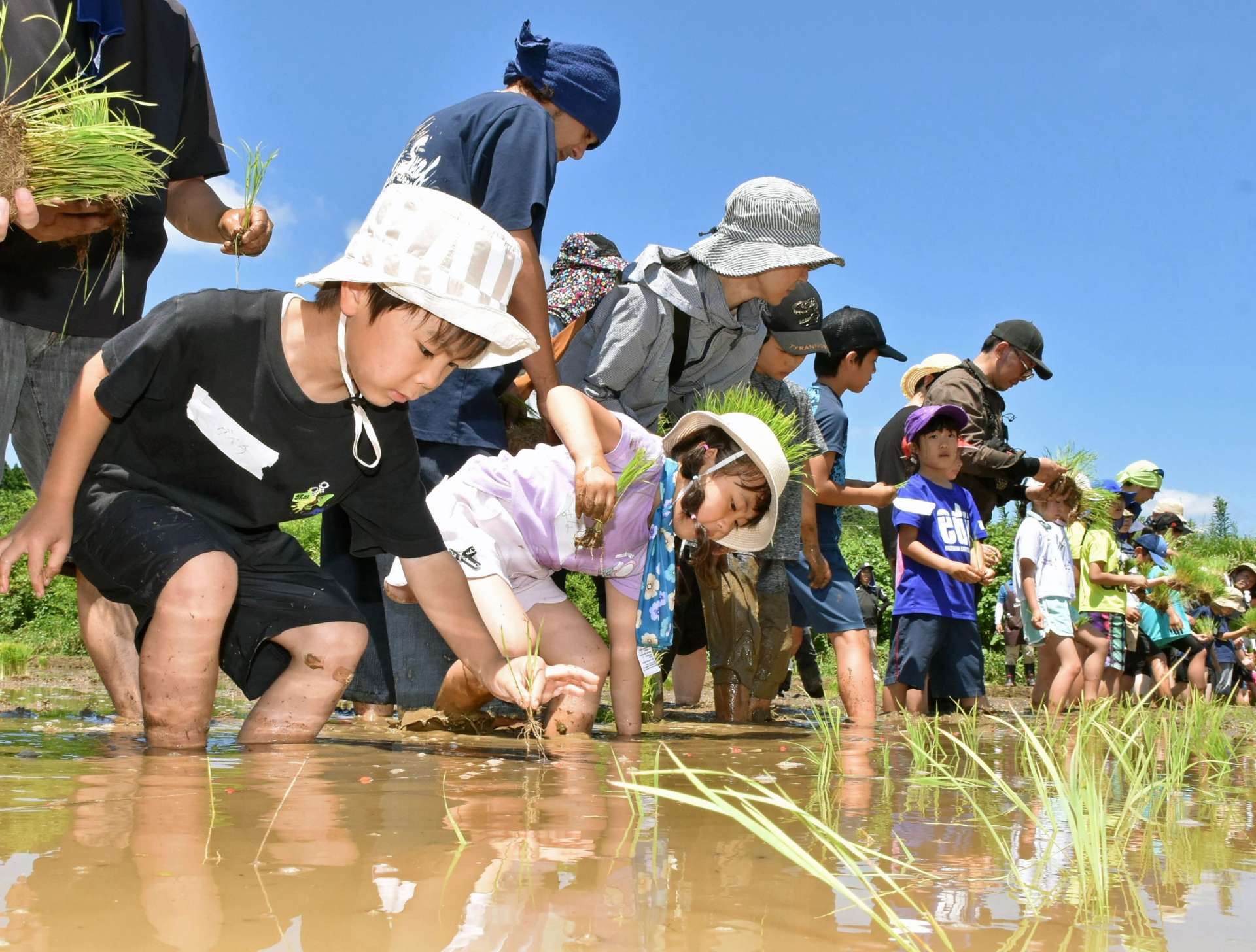 手植えをする親子連れ＝伊佐市大口山野