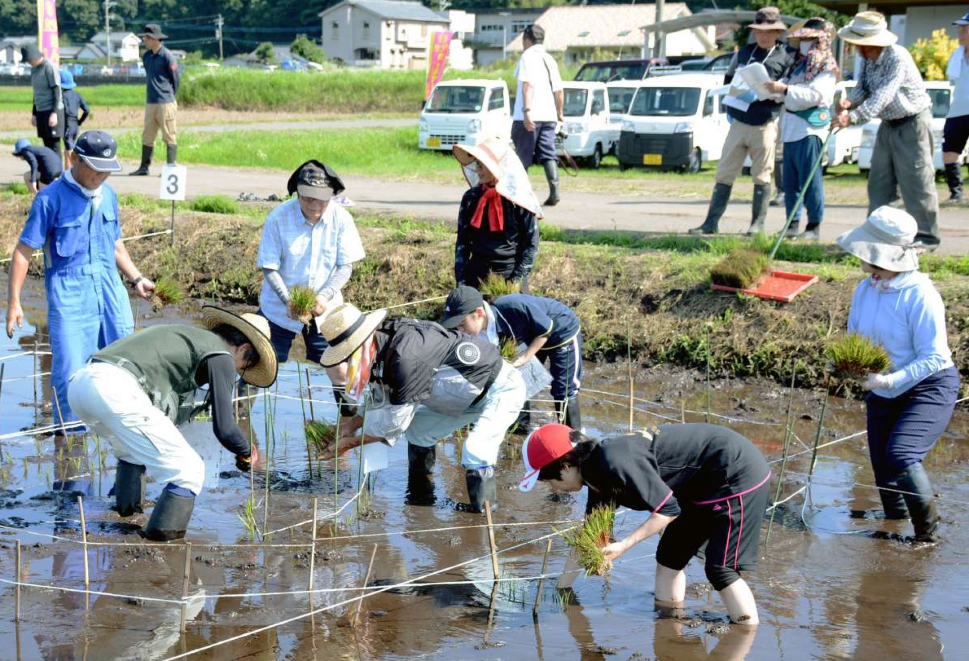図案に沿って苗を植える田んぼアートの参加者＝南九州市川辺町田部田