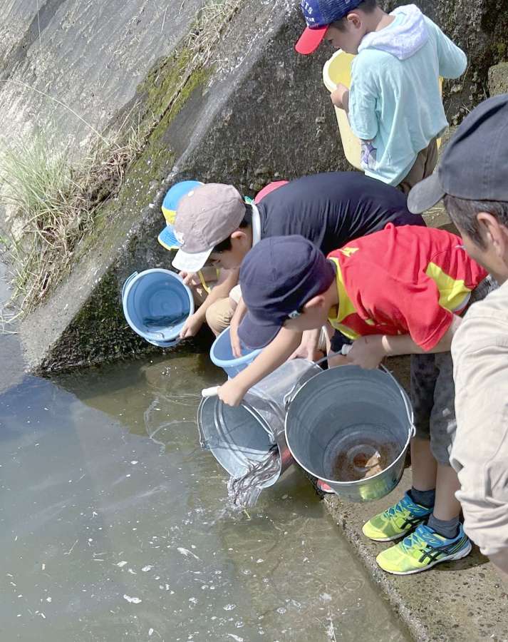 ウナギ稚魚を放流放流する児童ら＝姶良市豊留の山田川