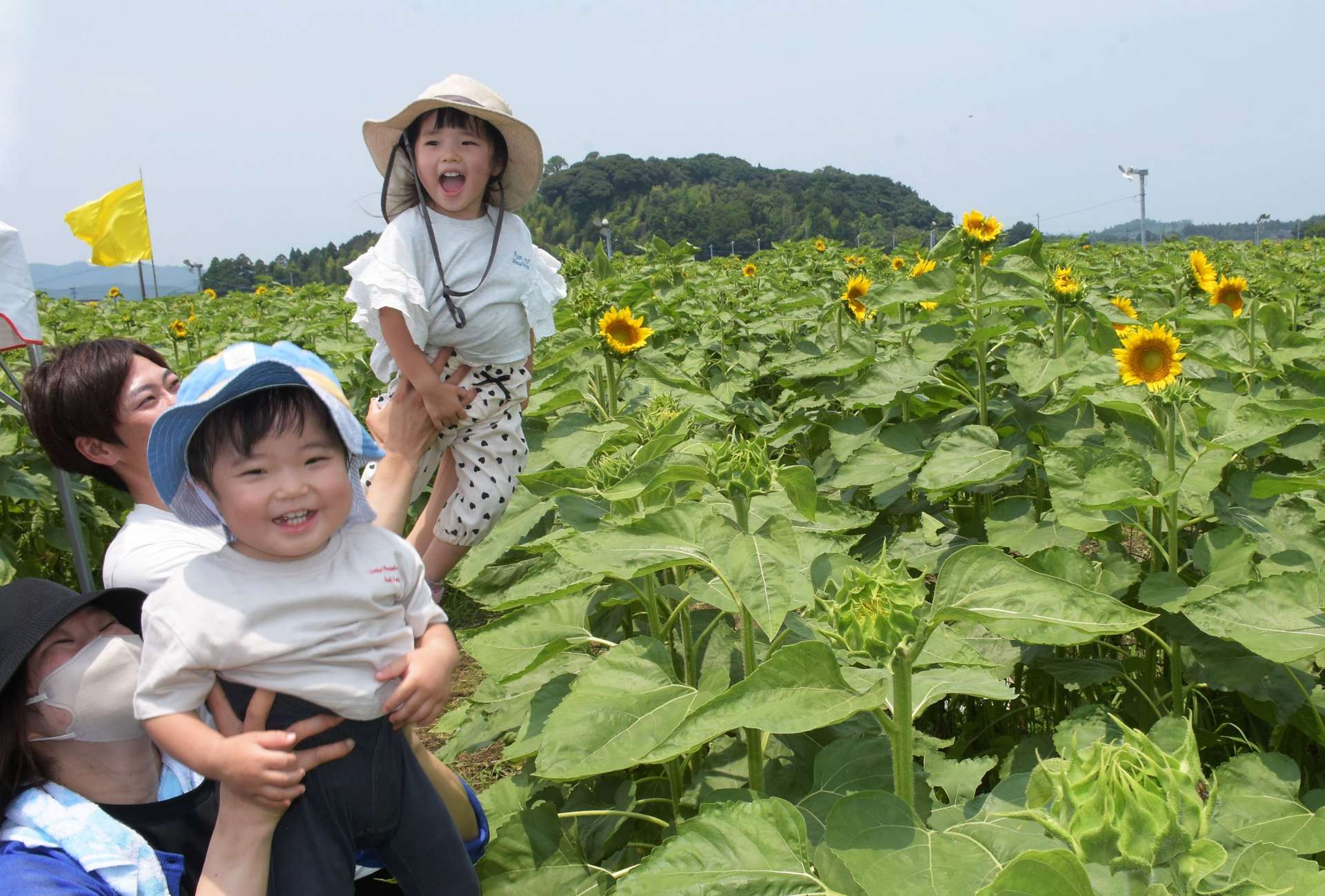 咲き始めたヒマワリに笑顔満開の子どもたち＝５日、志布志市有明町野神