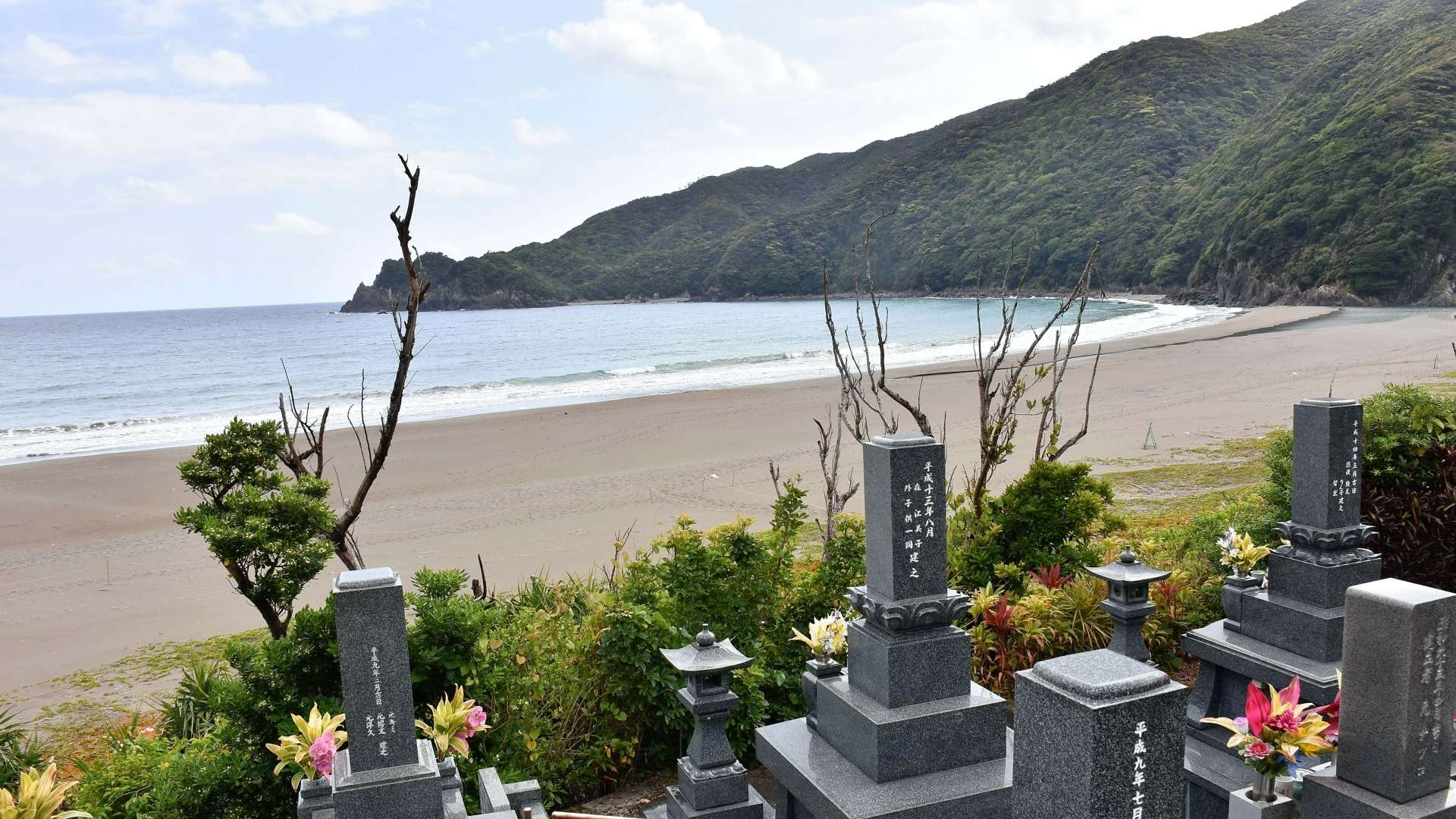 （護岸工事が中断していた嘉徳海岸）手前には集落の墓地が広がる