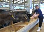 中国市場開放に期待する「うしの中山」の荒木真貴専務。約６０００頭の肉牛を飼育している＝１１日、鹿屋市串良