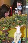 細かく作り込まれたジオラマ＝１２日、鹿児島市の黎明館