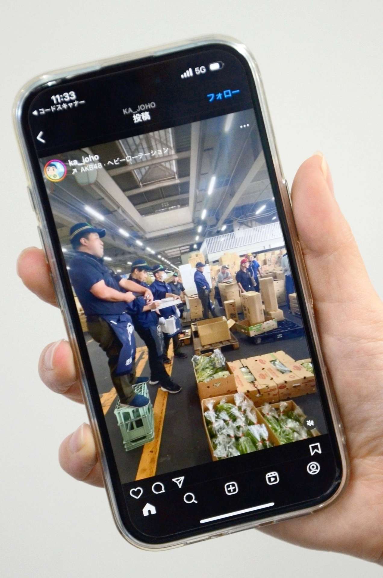 鹿児島市中央卸売市場の競りの様子などが紹介されている公開動画