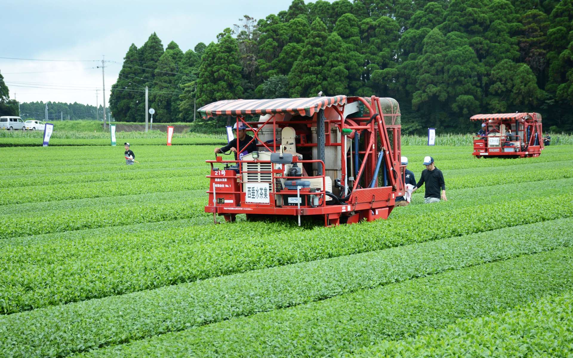 乗用型茶摘み機の操作技術を競う参加者＝１４日、南九州市知覧町塩屋