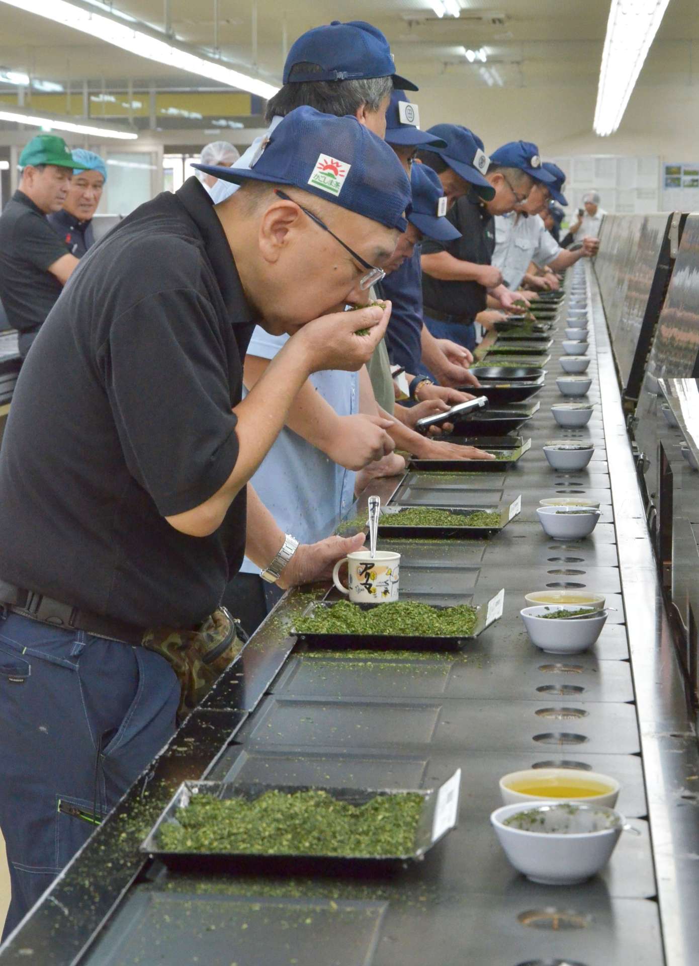 ２０２５年産二番茶を加工したてん茶の香りや手触りなどを確認する茶商ら＝１５日、鹿児島市の県茶市場