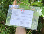 国立公園の第２種特別地域に設置されたわな＝７日、奄美市笠利（環境省提供）