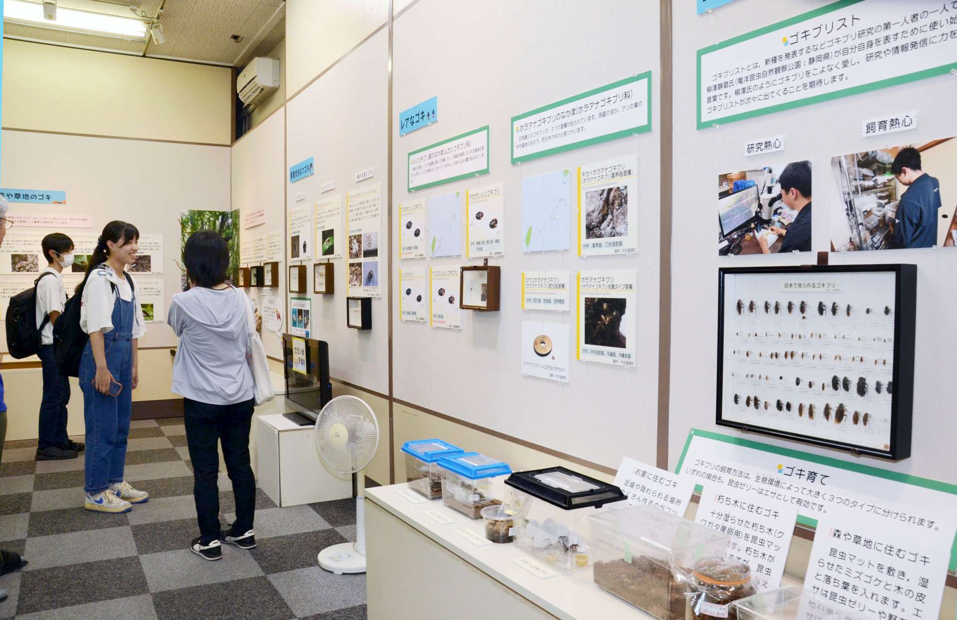 〈ゴキブリ〉の生態について紹介する企画展＝鹿児島市城山町の県立博物館