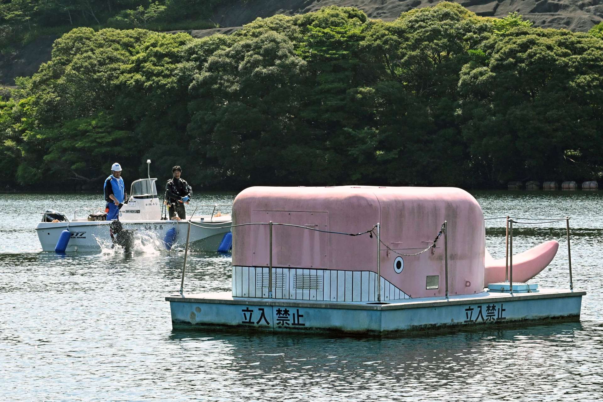 西京ダムに浮かぶ「ピンクの鯨」。奥で水中装置点検のためダイバーが飛び込む＝西之表市