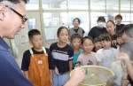 「茶染め」を体験する児童＝鹿児島市の谷山小学校