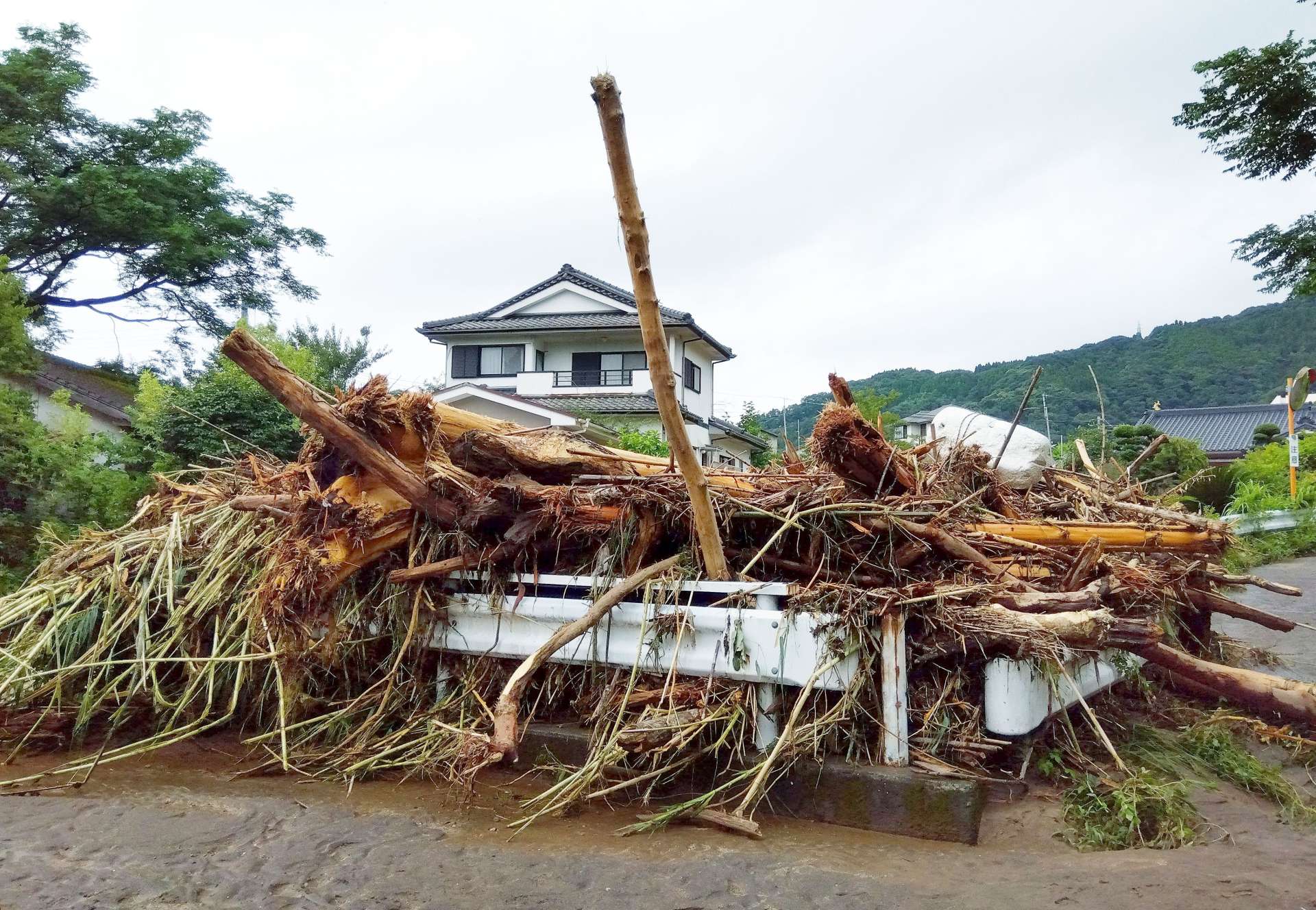 橋の欄干にせき止められた流木＝８日、霧島市福山