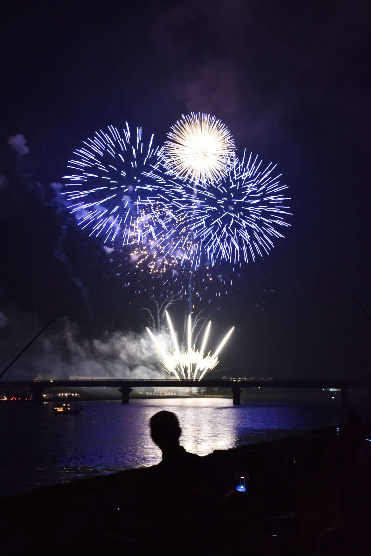 〈昨年の大会から〉夏の夜空を彩る花火＝薩摩川内市の川内川河川敷