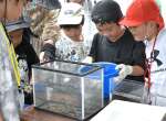 海岸で見つけた生き物を水槽に移して観察する子どもたち＝垂水市牛根麓