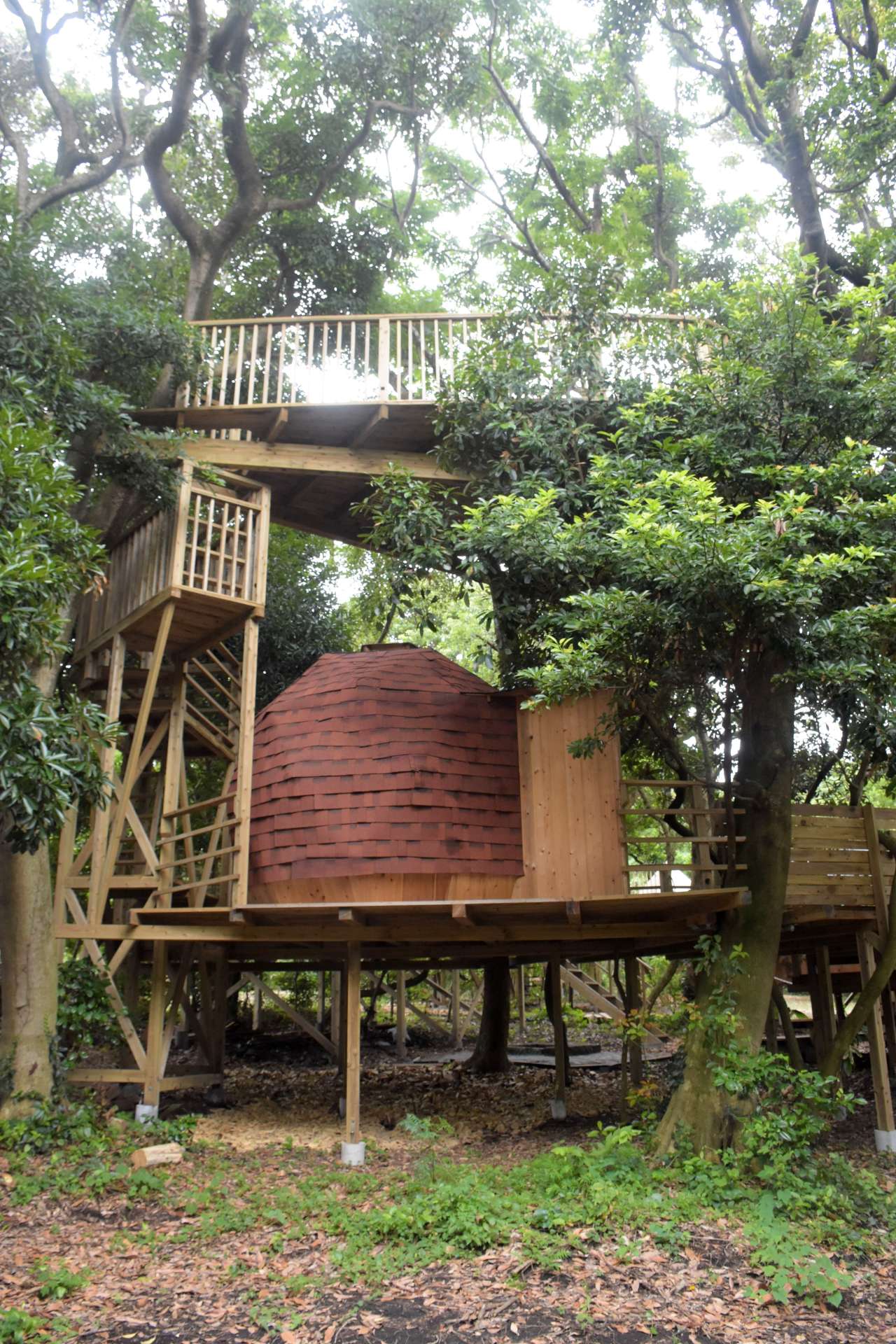 ツリーハウスでキャンプが楽しめる「ソナレの森」＝南九州市頴娃の番所鼻自然公園