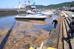 〈港では漂着物被害も〉福山港に流れ込んだ倒木を撤去する作業員＝１３日、霧島市の福山港