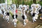 矢旗を背負って勇壮に舞う踊り手＝２８日、日置市吹上の南方神社