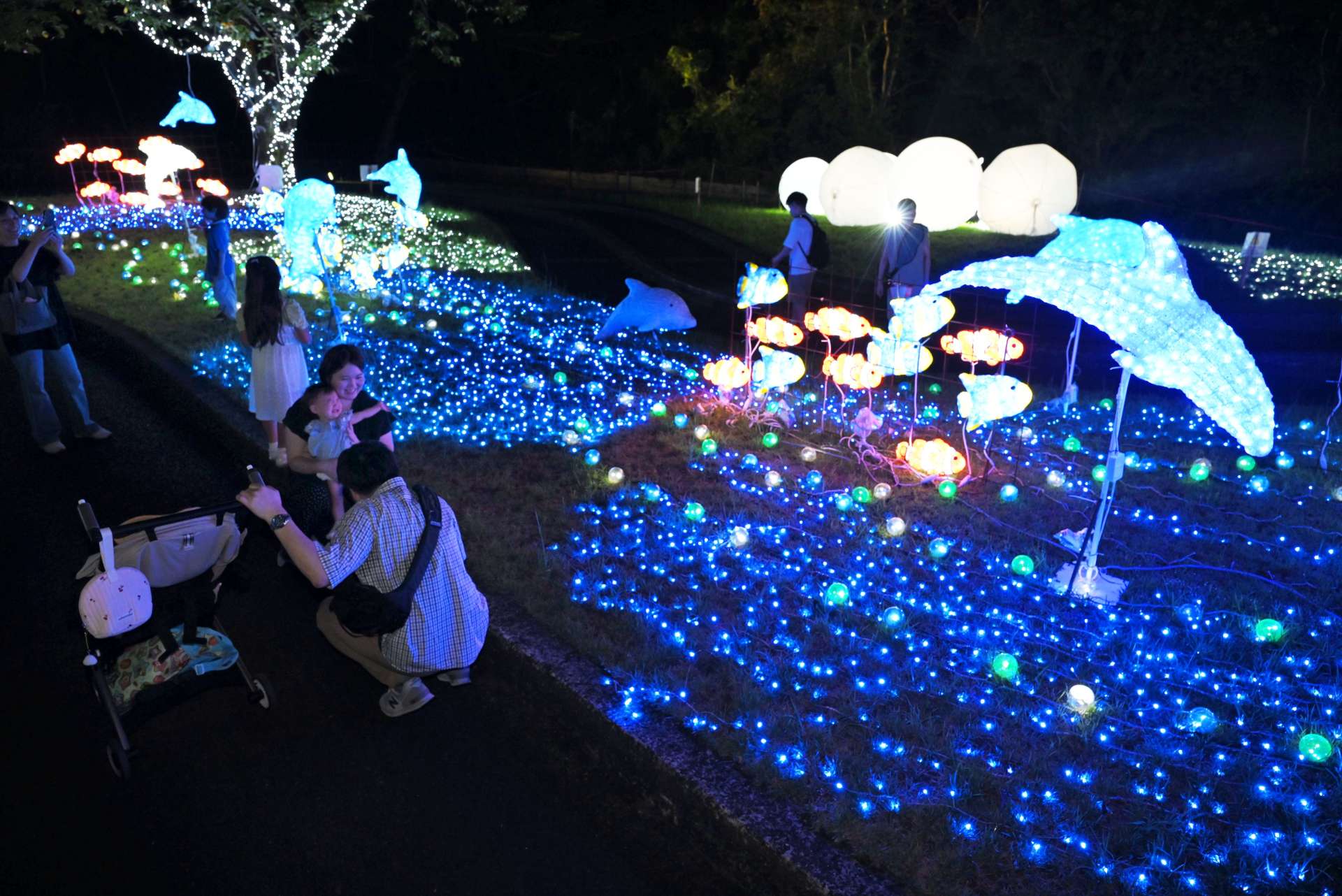 イルミネーションを楽しむ家族連れ＝３０日午後８時、鹿児島市の平川動物公園