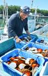 ツキヒガイ漁が解禁され、水揚げする漁師＝１日、鹿児島県日置市東市来の江口漁港