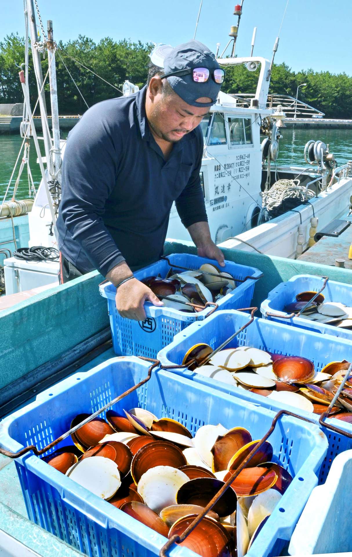 ツキヒガイ漁が解禁され、水揚げする漁師＝１日、鹿児島県日置市東市来の江口漁港