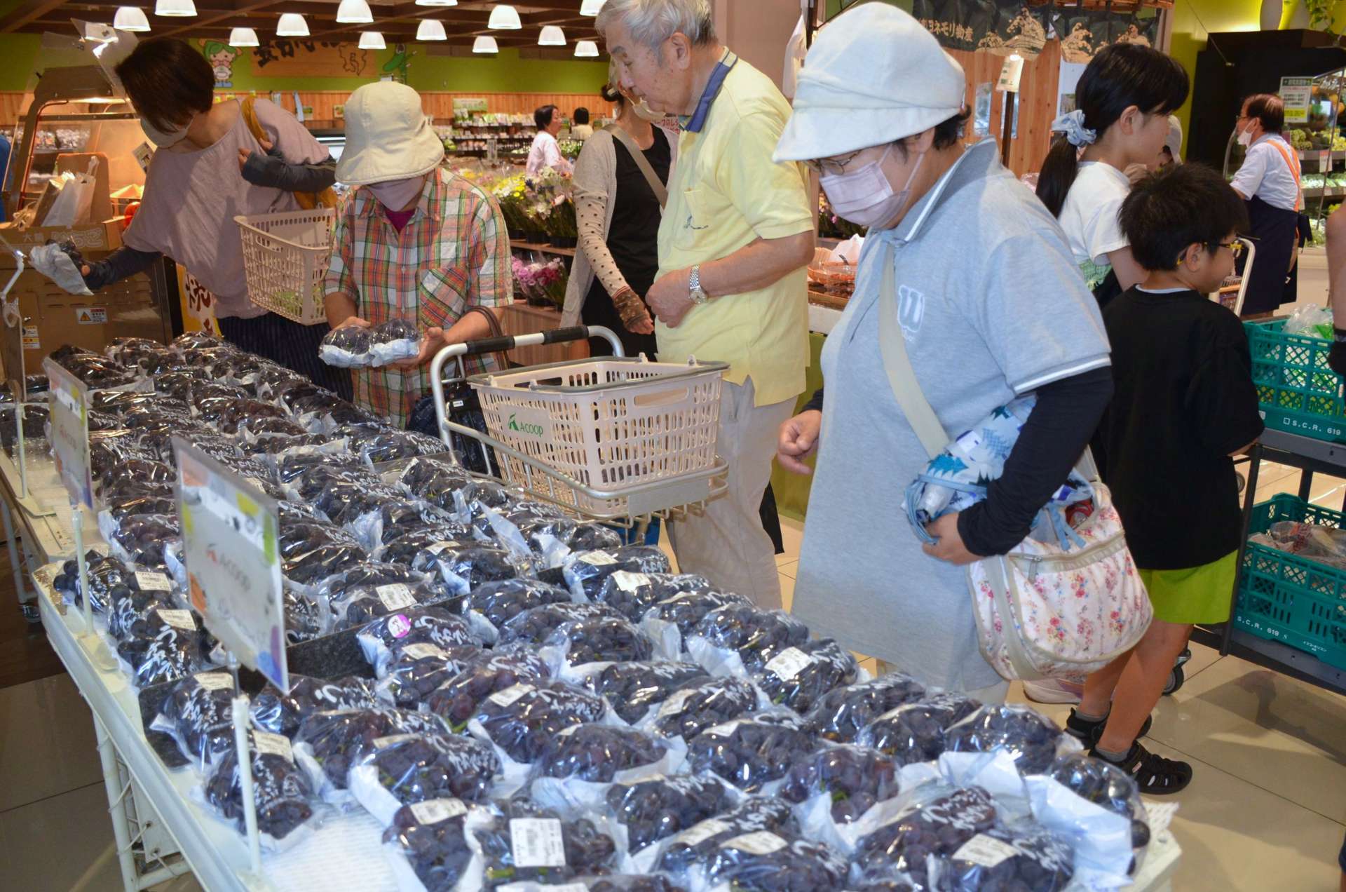 霧島産のブドウが並ぶ特設売り場＝霧島市国分中央４丁目のＡコープ国分店