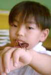 段心優人さんの手に乗る赤茶色のトノサマバッタ＝４日、さつま町中津川の薩摩小学校