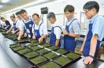 出品された茶葉の外観をチェックする審査員＝３日、鹿児島市の県茶市場