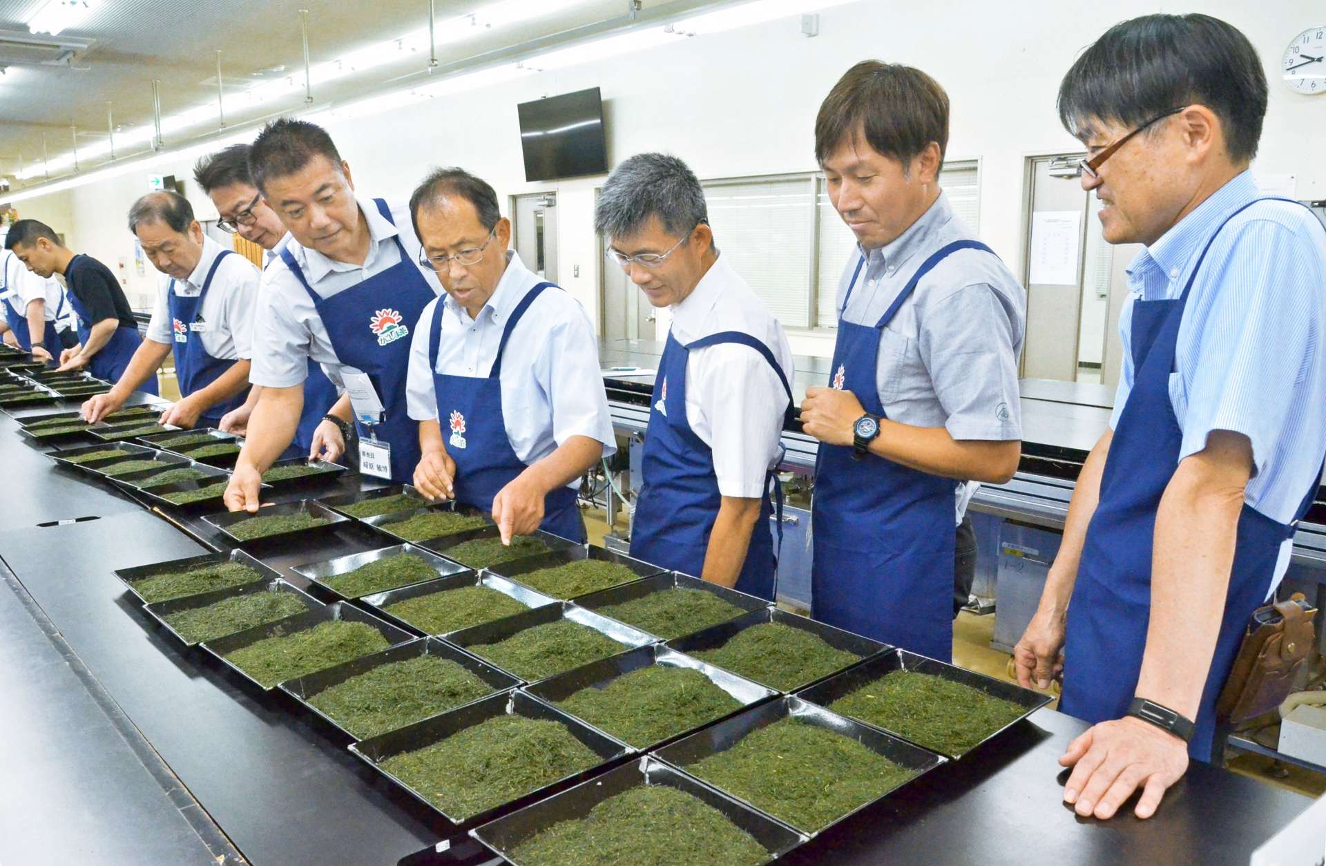 出品された茶葉の外観をチェックする審査員＝３日、鹿児島市の県茶市場