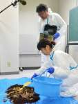 豚熱経口ワクチンの散布方法を説明する農研機構畜産研究部門の平田滋樹さん（上）ら＝１２日、霧島市霧島総合支所