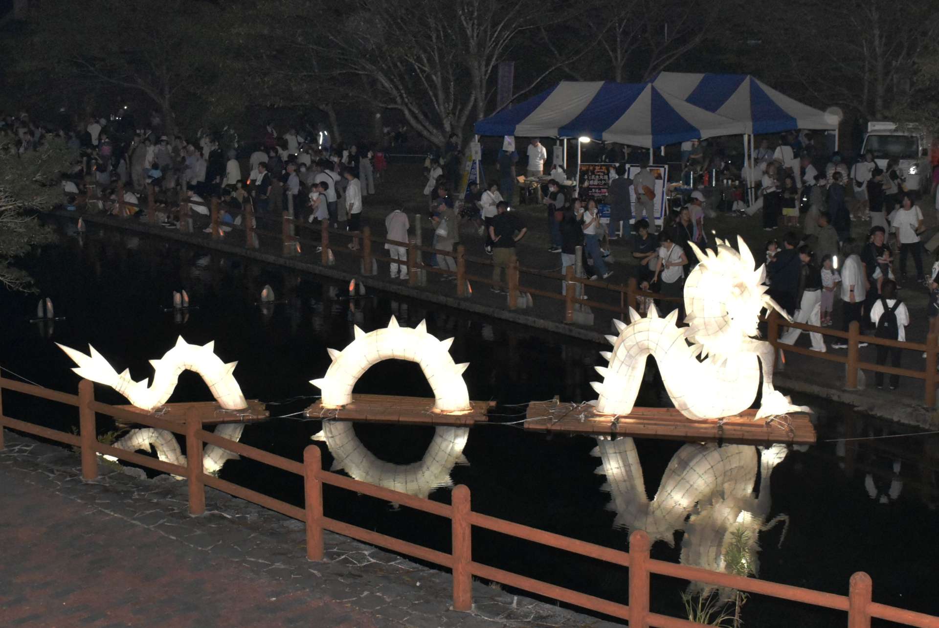 明るく光る白いドラゴン＝湧水町の丸池公園