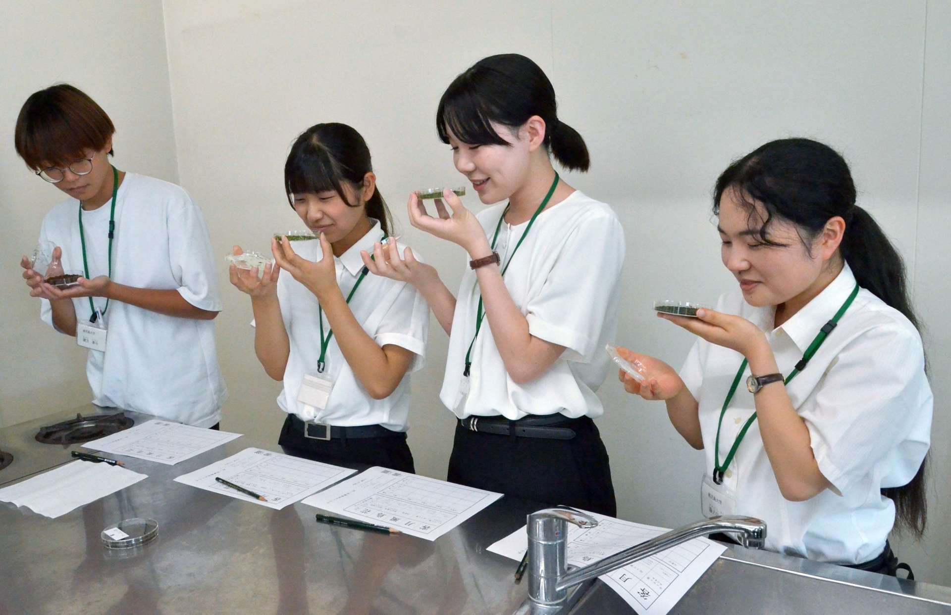 利き茶に挑戦する大学生ら＝１６日、鹿児島市の鹿児島女子短期大学