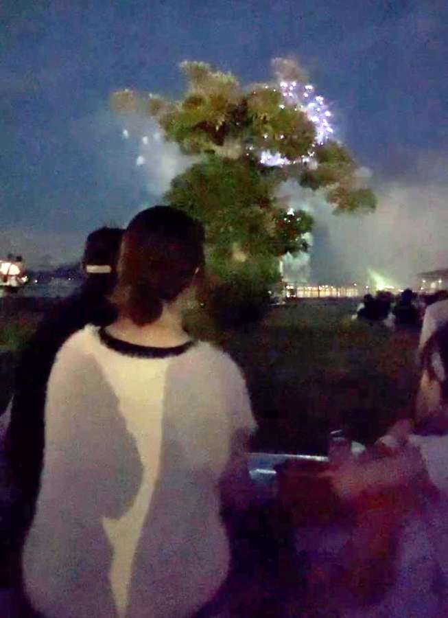 木が視界を遮る有料観覧席から２０代女性が撮影した動画の一部（読者提供）