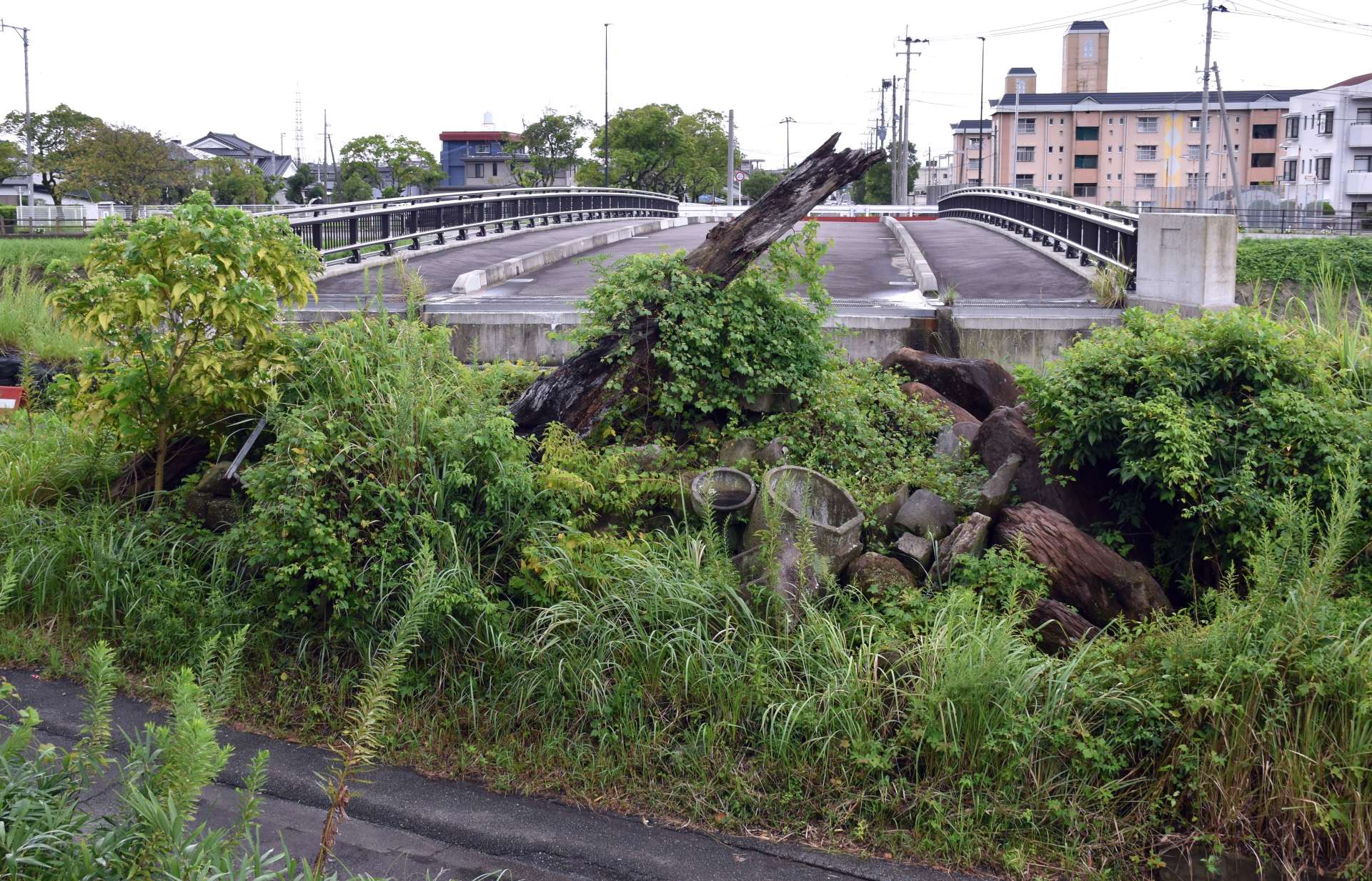 収用の裁決があった右岸の土地（手前）と新設された橋＝１８日、いちき串木野市平江