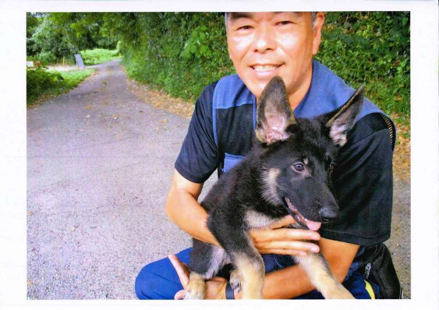 〈早すぎる別れ…担当係の表情から愛情が伝わる〉まだまだ小さい頃の警察犬ウォルト号（県警鑑識課提供）